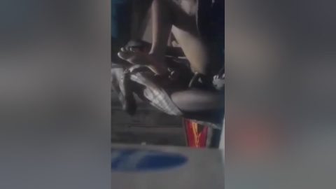 Desi Village Couple Fucking Record In