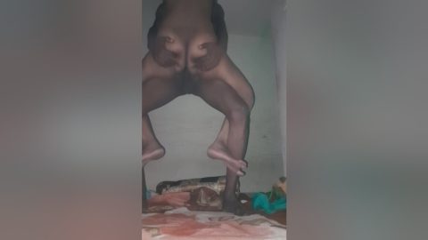 Bhabhi Hard Fuck