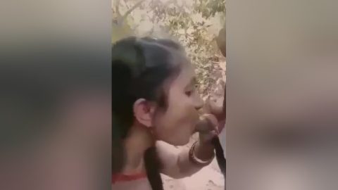 Desi Outdoor Romance And Blowjob With Devar Bhabhi