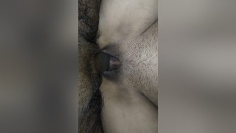 Desi Hot Bhabhi Sex Indian Desi Bhabhi Ki Chudai Devar Ne Bhabhi Ko Choda – Devar Bhabhi