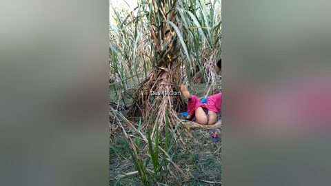 Today Exclusive- Village Lover Outdoor Fucking 3