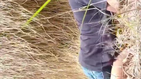 Desi Lover Outdoor Fucking For The First Time
