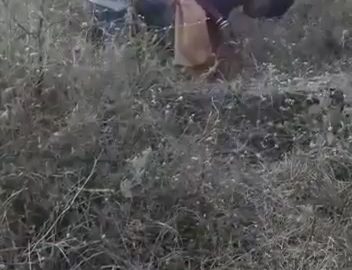 Local Randi Outdoor Fucking